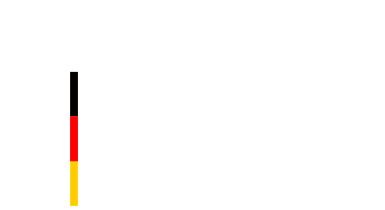 BfBFSFJ-Logo dark